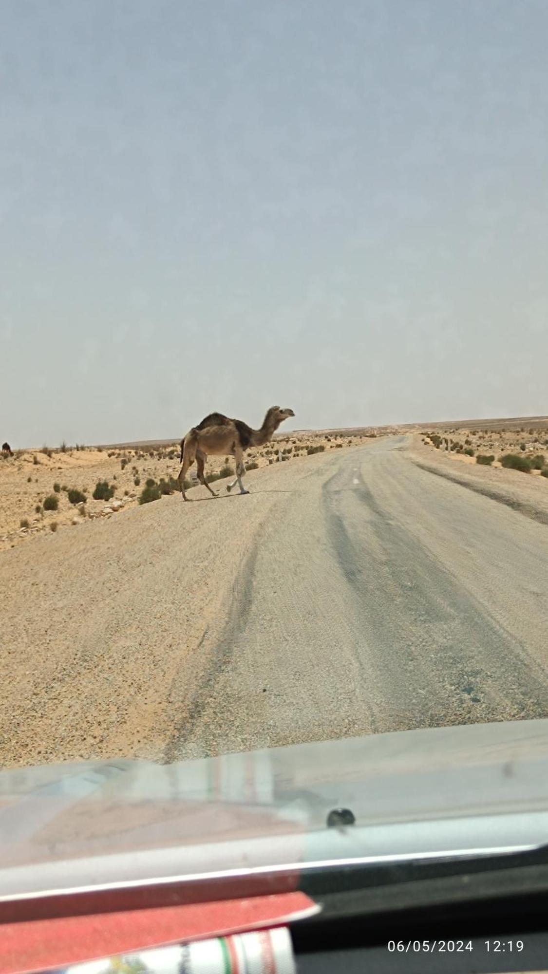 Dar Lagune Djerba Vue De Mer Al Haddadah ภายนอก รูปภาพ
