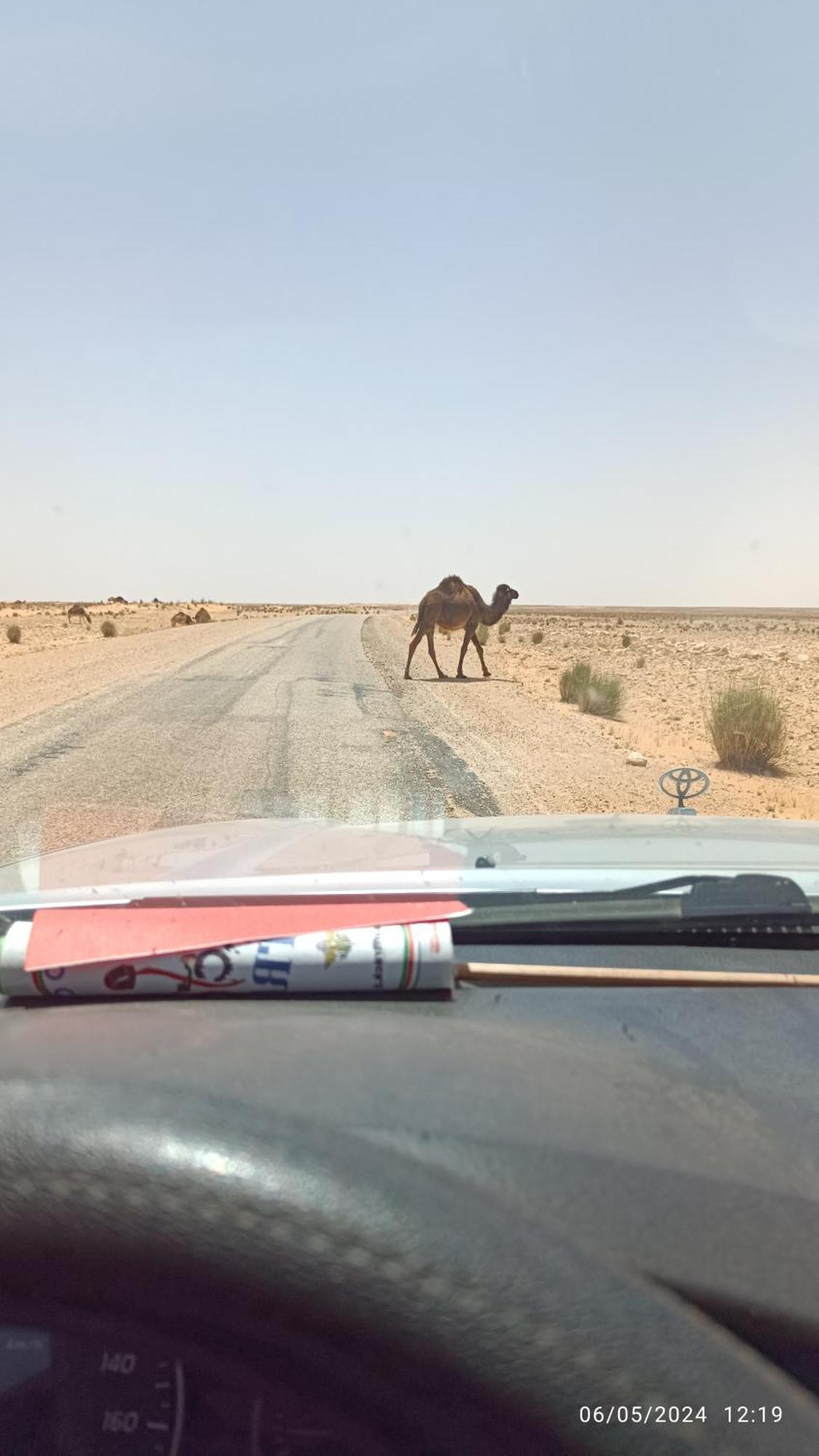 Dar Lagune Djerba Vue De Mer Al Haddadah ภายนอก รูปภาพ