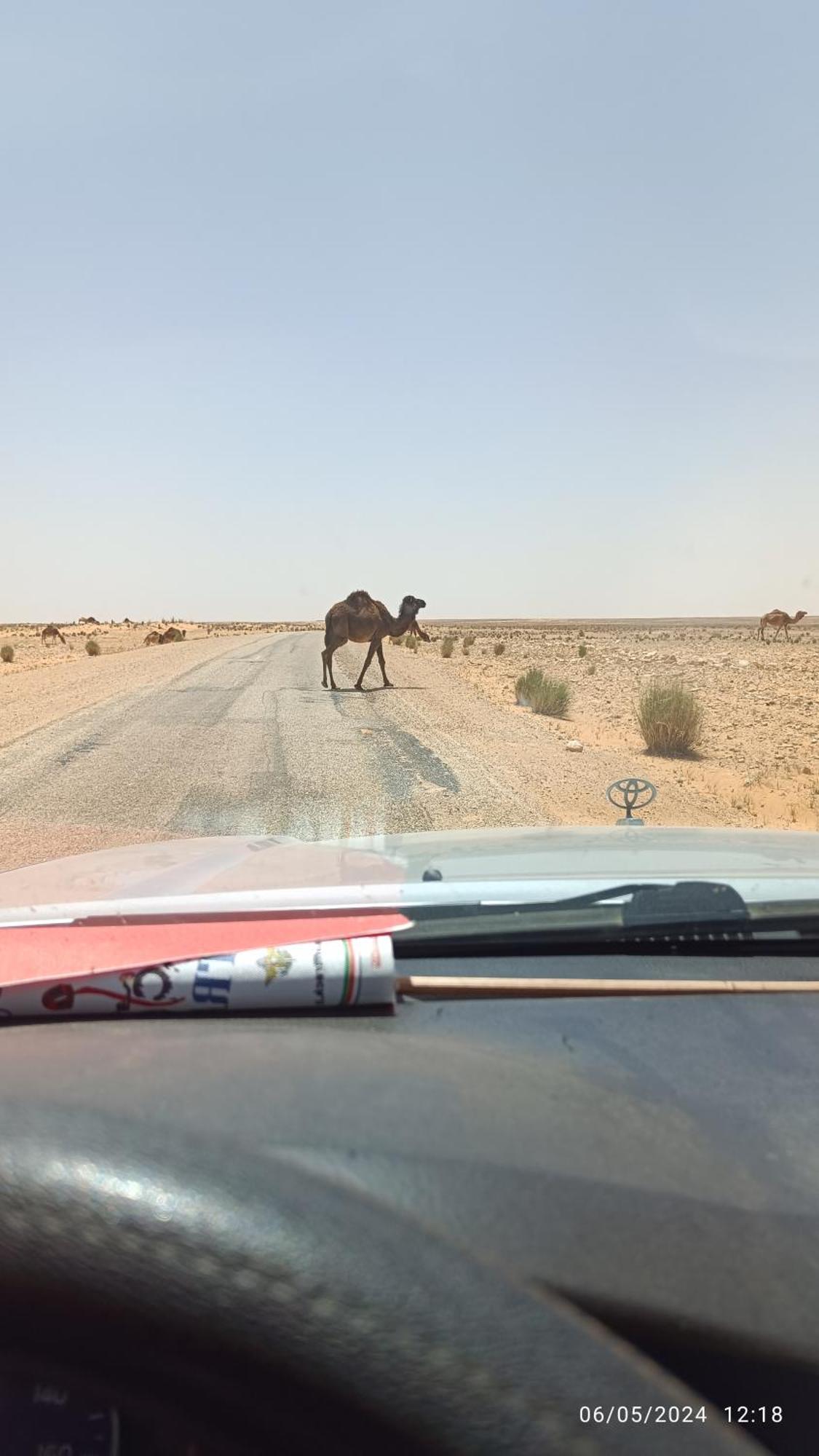 Dar Lagune Djerba Vue De Mer Al Haddadah ภายนอก รูปภาพ