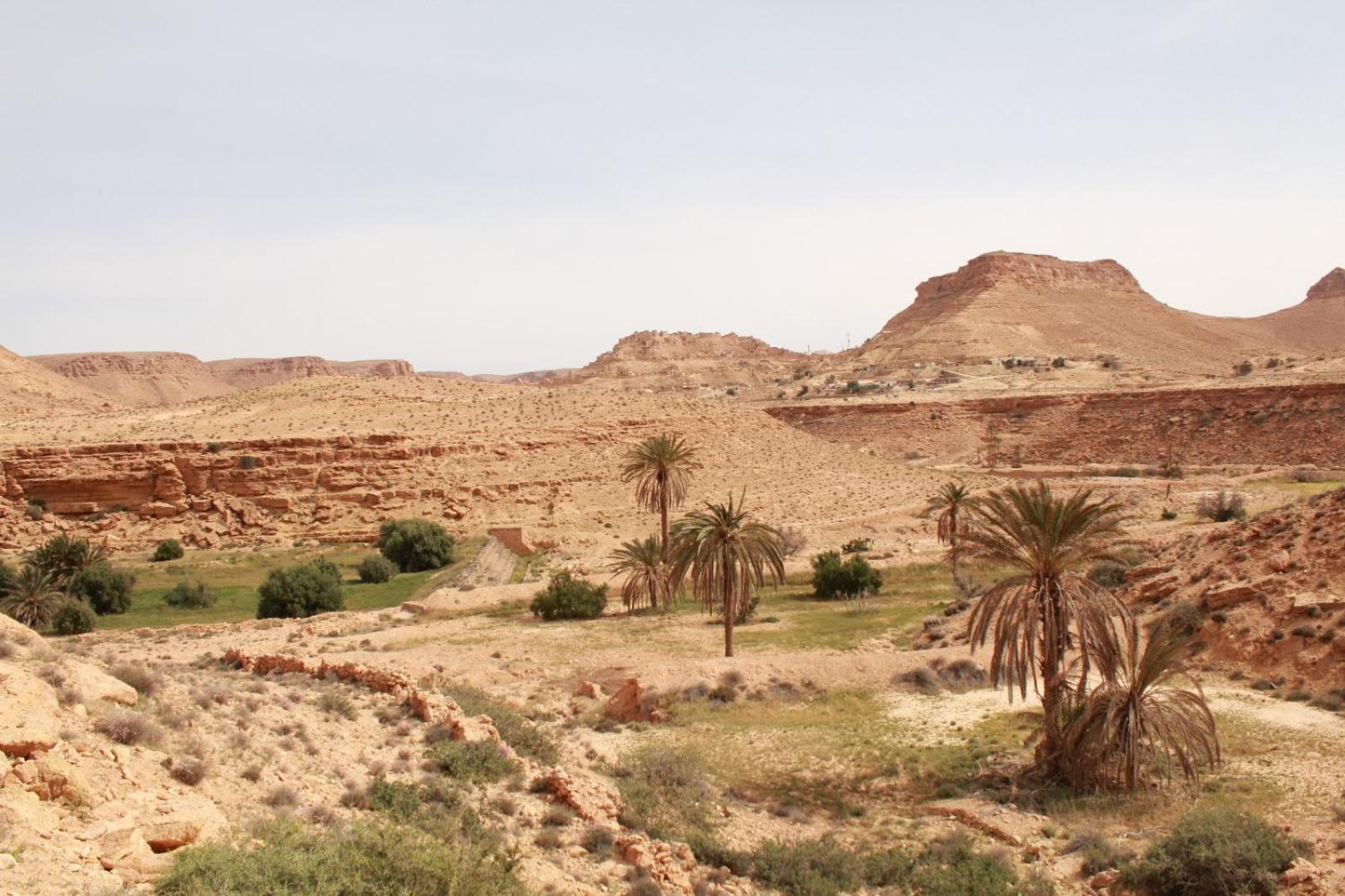 Dar Lagune Djerba Vue De Mer Al Haddadah ภายนอก รูปภาพ