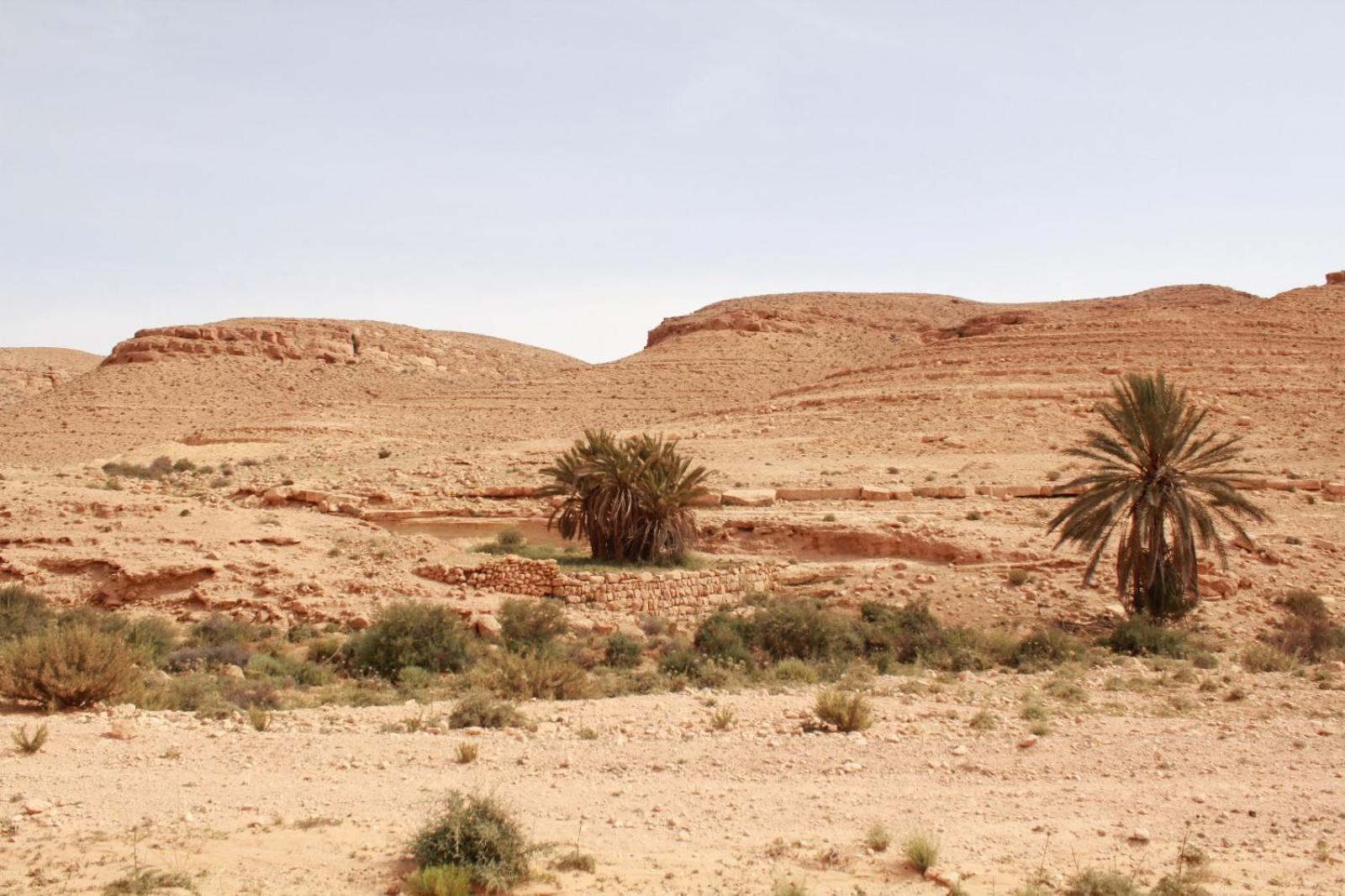 Dar Lagune Djerba Vue De Mer Al Haddadah ภายนอก รูปภาพ