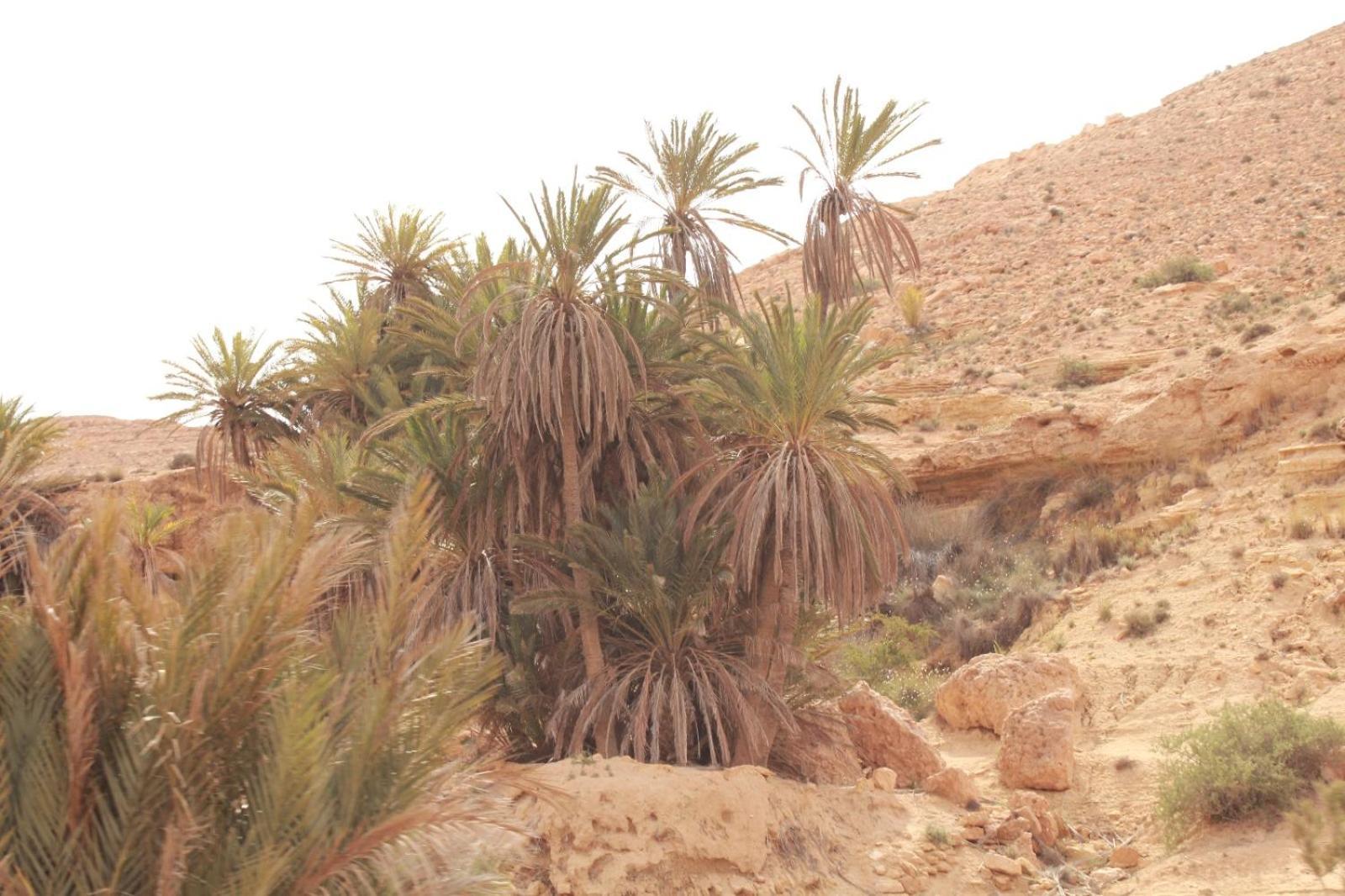 Dar Lagune Djerba Vue De Mer Al Haddadah ภายนอก รูปภาพ